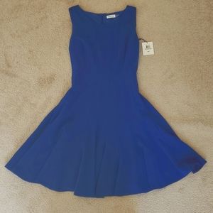 Calvin Klein blue swingy dress